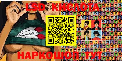 шишки Камышлов