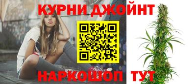 шишки Камышлов