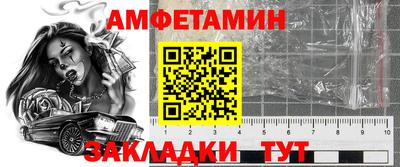 шишки Камышлов