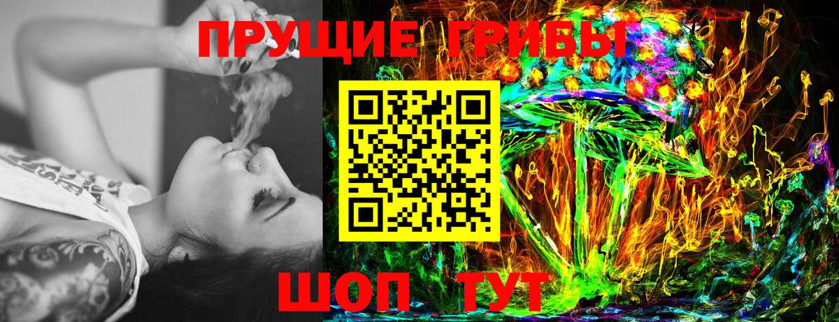 Псилоцибиновые грибы Psilocybe Кумертау